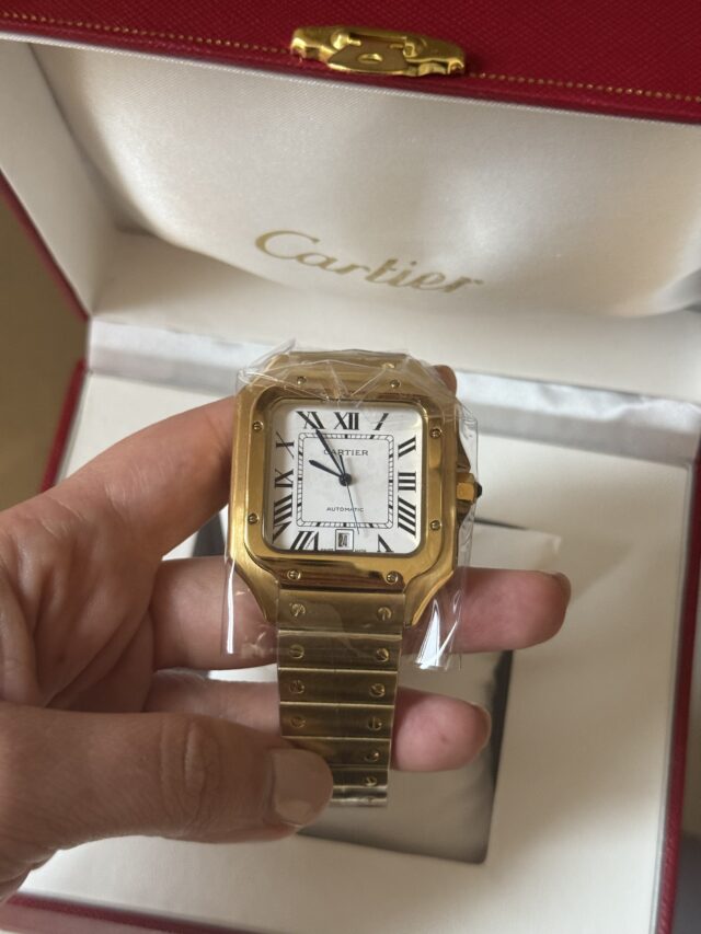 C BIG GOLD/SILVER WATCH